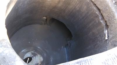 高新区专业管道疏通清洗清理化粪池隔油池污水池的图片
