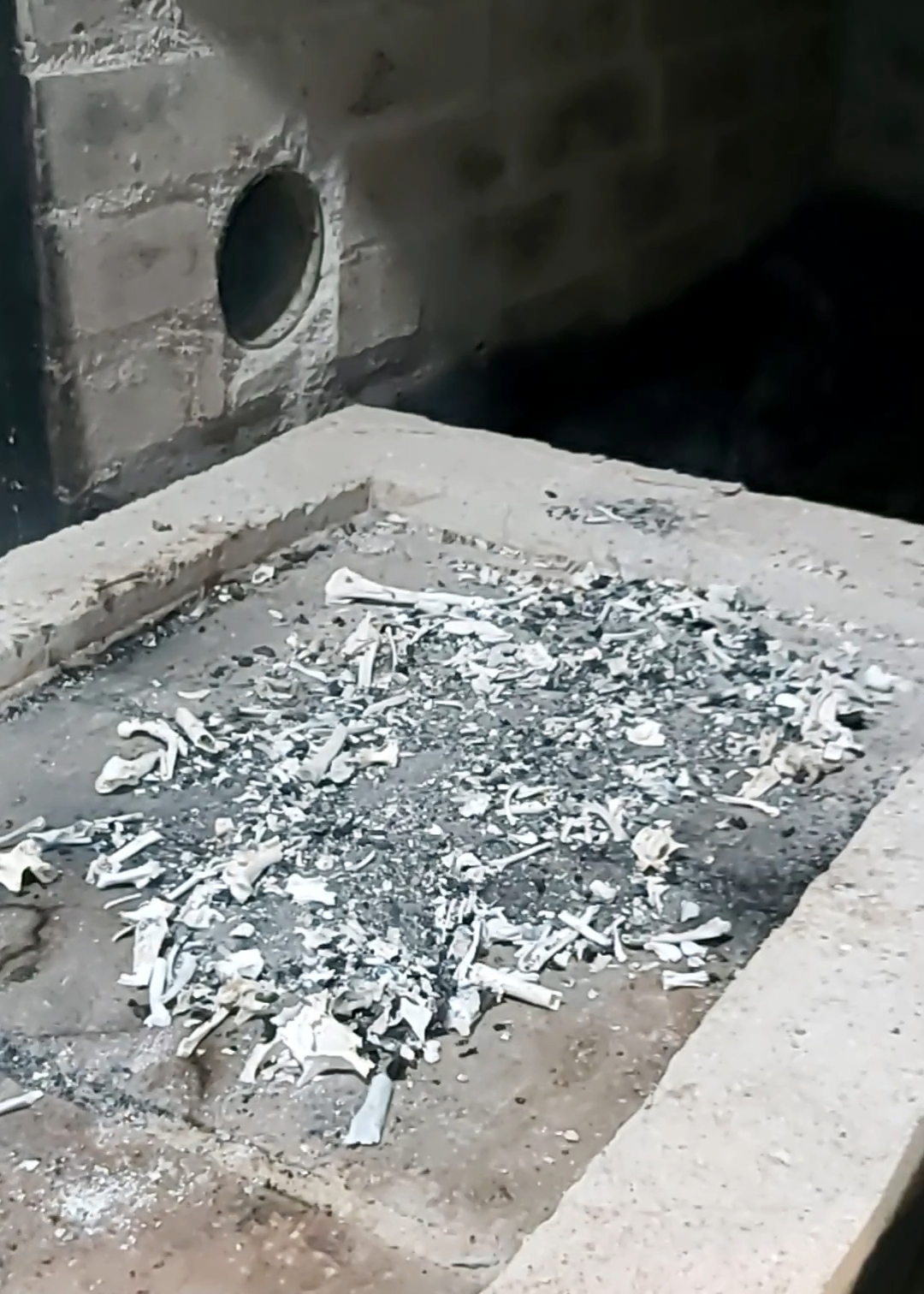 上海市普陀区长寿路宠物火化殡葬动物尸体无害化处理的图片