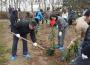 长兴岛春季植树拓展活动、长兴岛郊野公园团队植树1