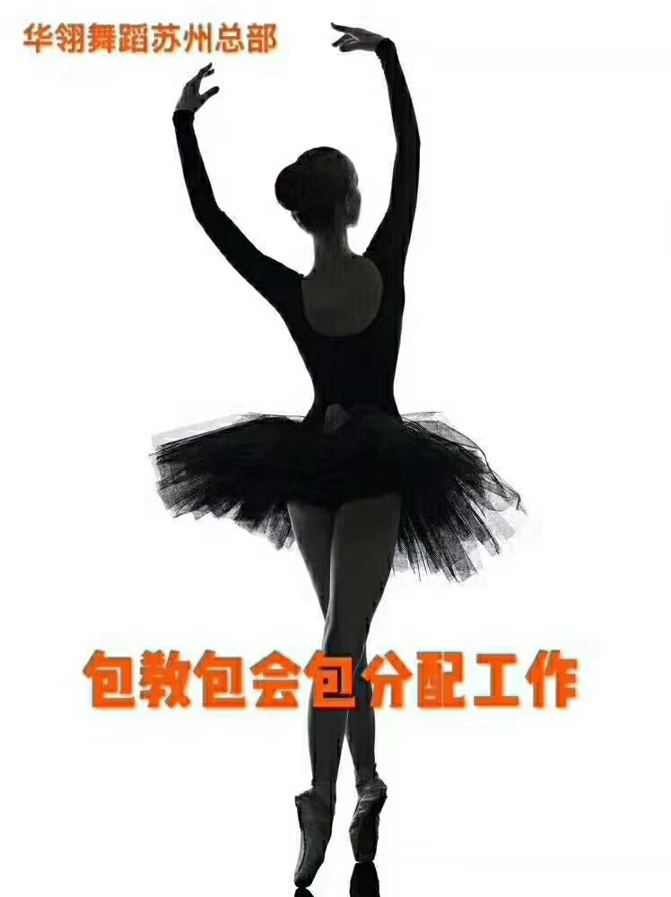 国际连锁舞蹈华翎爵士舞教练班专业班零基础入学的图片